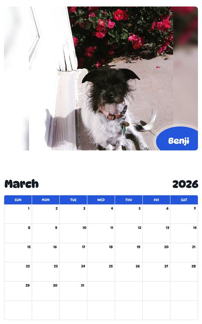 November 2025 - October 2026 Benji - Pawidols Pet Calendar