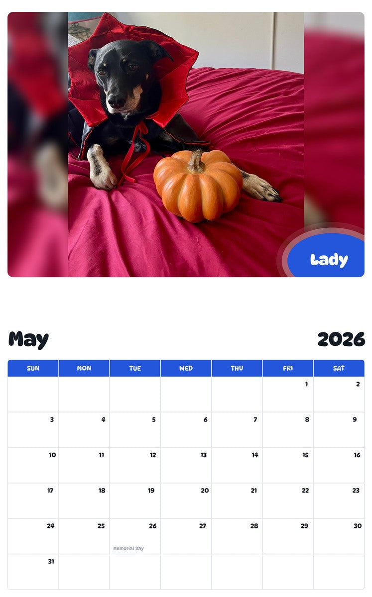 2026 - 2027 Lady - Pawidols Pet Calendar