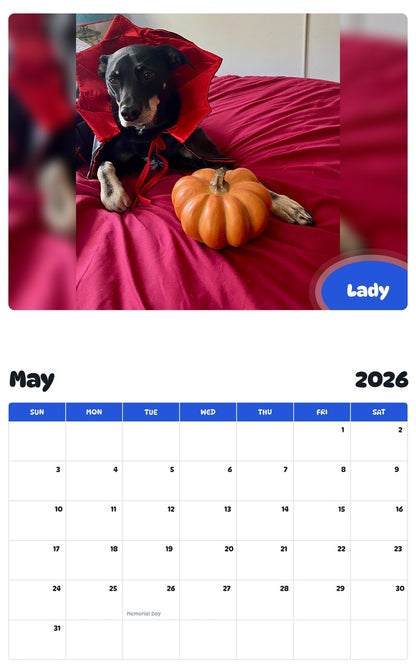 2026 - 2027 Lady - Pawidols Pet Calendar
