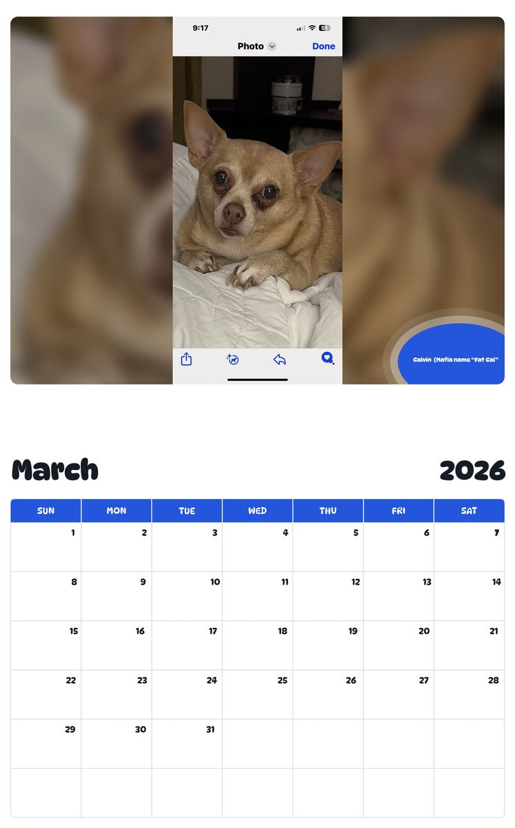 November 2025 - October 2026 Calvin  (Mafia name “Fat Cal” - Pawidols Pet Calendar