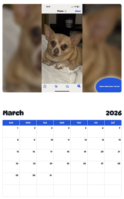 November 2025 - October 2026 Calvin  (Mafia name “Fat Cal” - Pawidols Pet Calendar