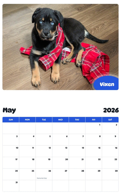 2026 - 2027 Vixen - Pawidols Pet Calendar