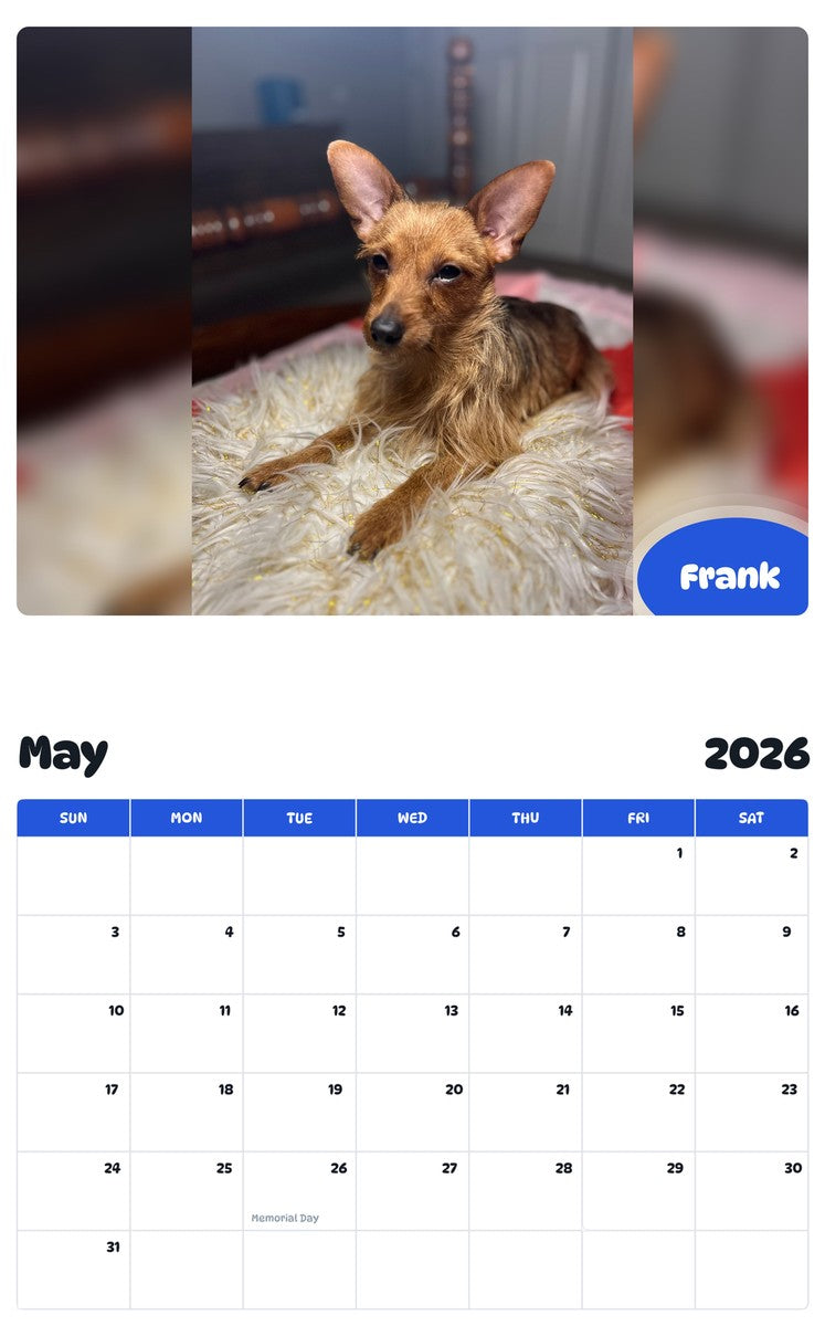 2026 - 2027 Frank - Pawidols Pet Calendar
