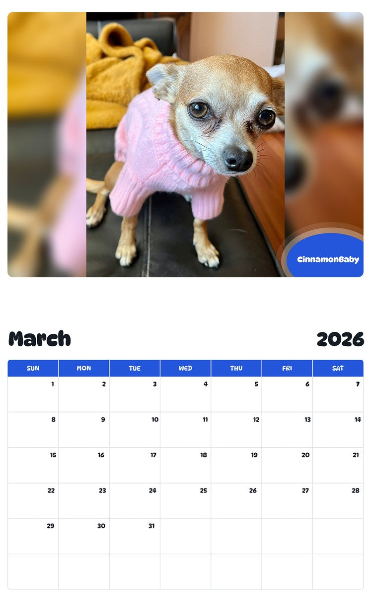 November 2025 - October 2026 CinnamonBaby - Pawidols Pet Calendar