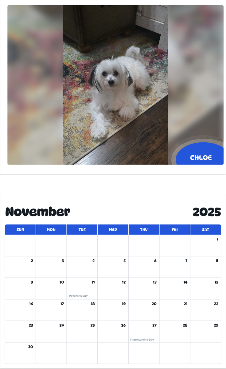 July 2025 - June 2026 Chloe - Pawidols Pet Calendar