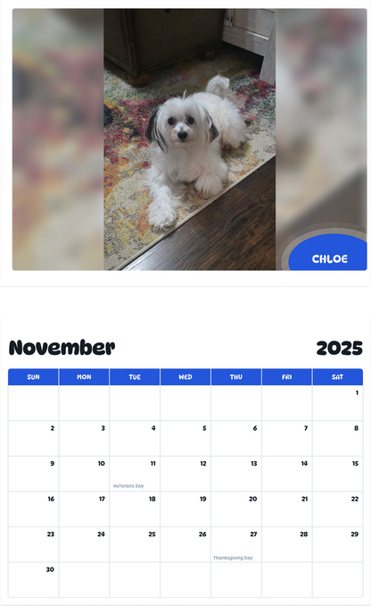 July 2025 - June 2026 Chloe - Pawidols Pet Calendar