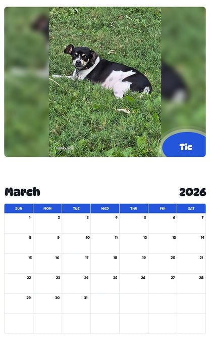 November 2025 - October 2026 Tic - Pawidols Pet Calendar