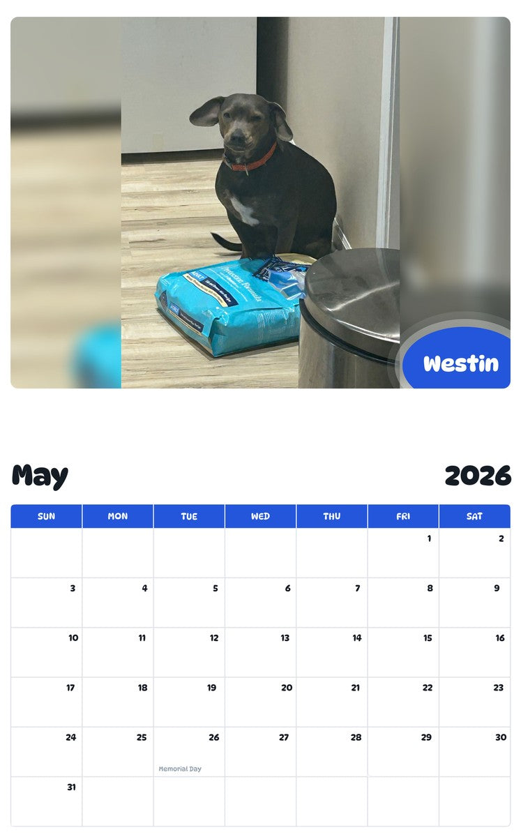 2026 - 2027 Westin - Pawidols Pet Calendar