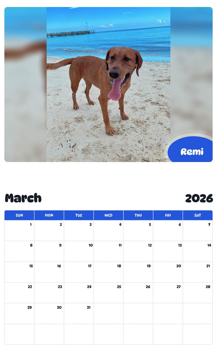 November 2025 - October 2026 Remi - Pawidols Pet Calendar