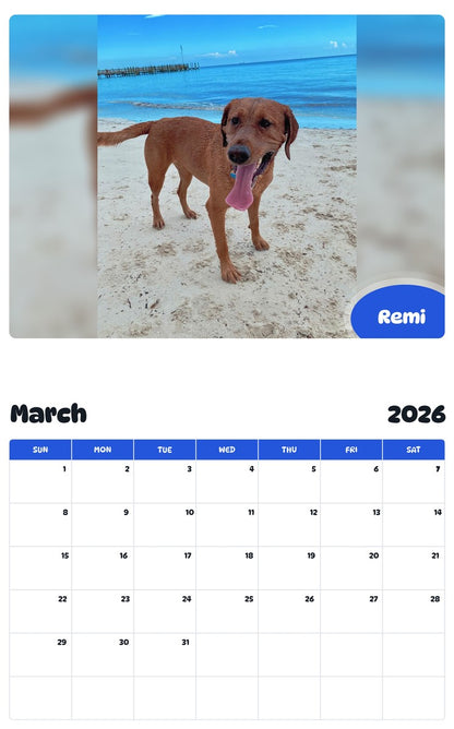 November 2025 - October 2026 Remi - Pawidols Pet Calendar