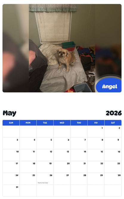 2026 - 2027 Angel - Pawidols Pet Calendar