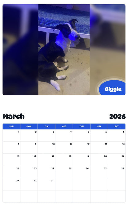 November 2025 - October 2026 Biggie - Pawidols Pet Calendar