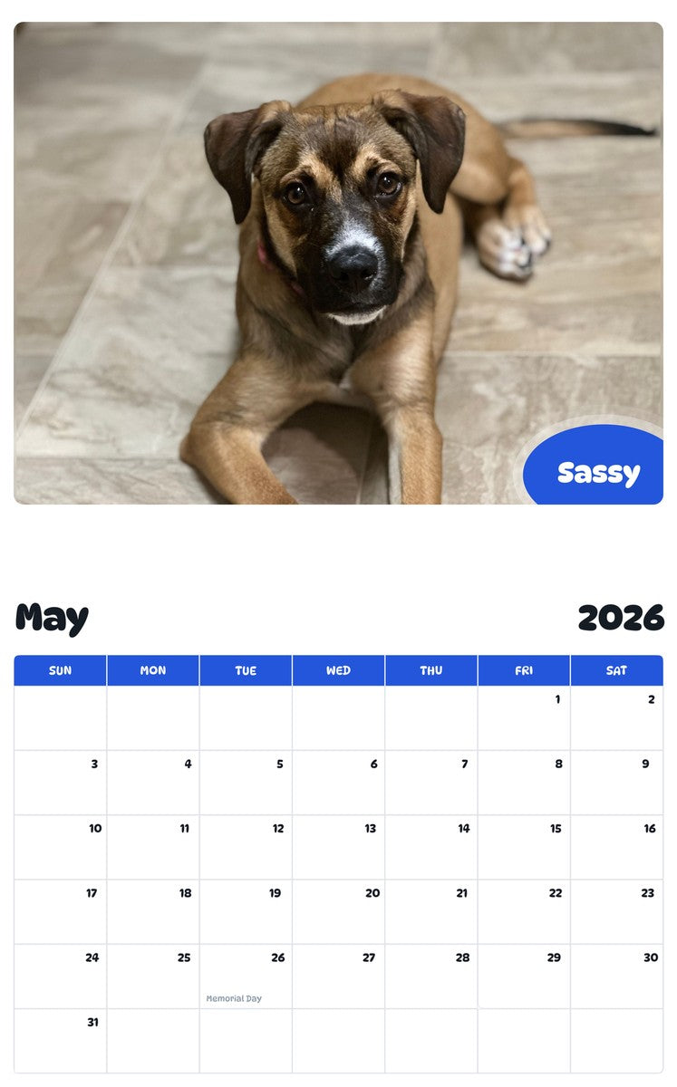 2026 - 2027 Sassy - Pawidols Pet Calendar