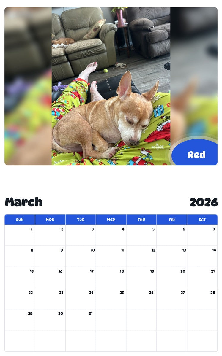 November 2025 - October 2026 Red - Pawidols Pet Calendar