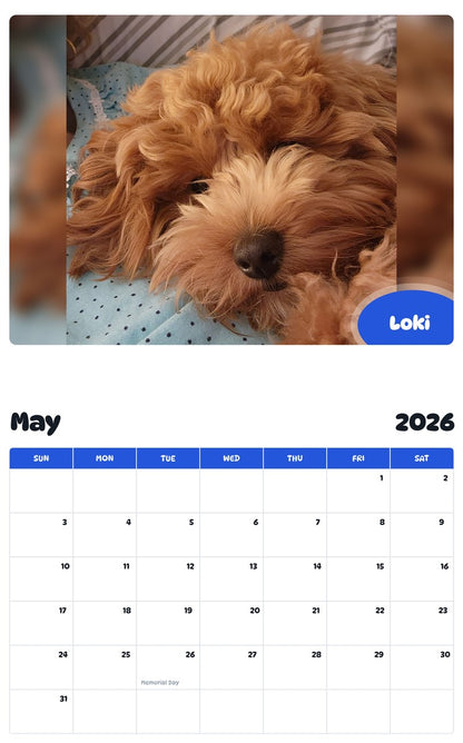 2026 - 2027 Loki - Pawidols Pet Calendar
