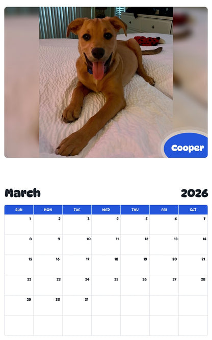 November 2025 - October 2026 Cooper - Pawidols Pet Calendar