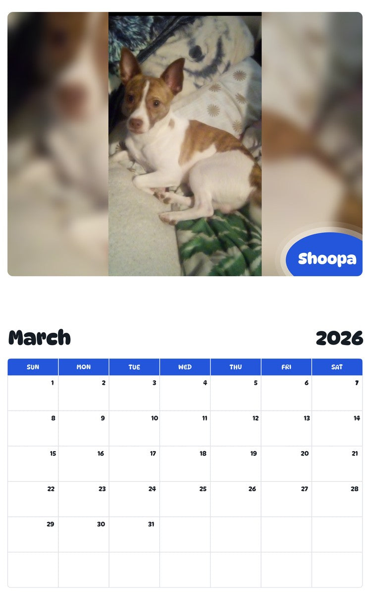 November 2025 - October 2026 Shoopa - Pawidols Pet Calendar