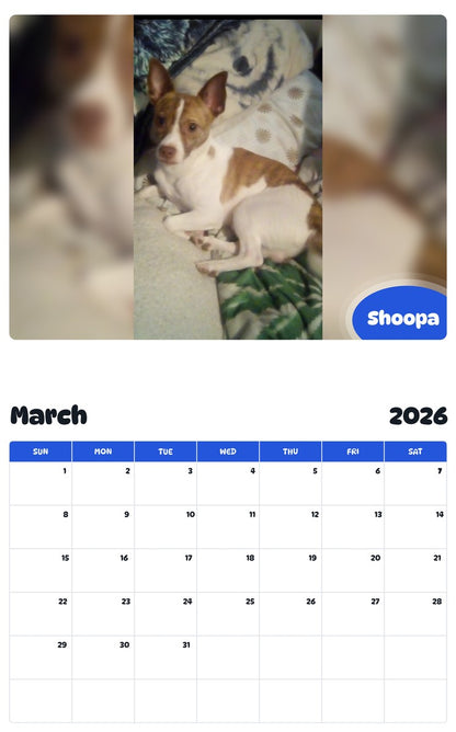 November 2025 - October 2026 Shoopa - Pawidols Pet Calendar
