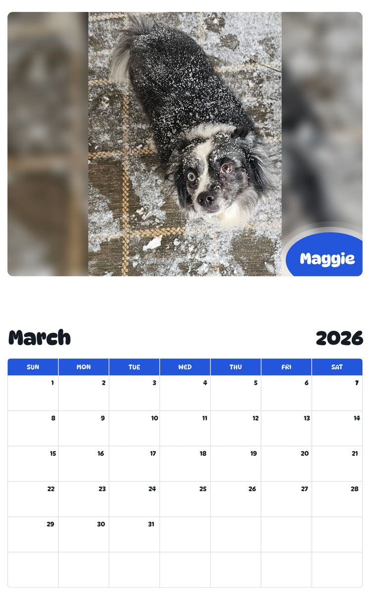 November 2025 - October 2026 Maggie - Pawidols Pet Calendar