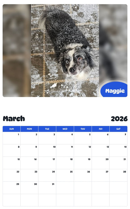 November 2025 - October 2026 Maggie - Pawidols Pet Calendar