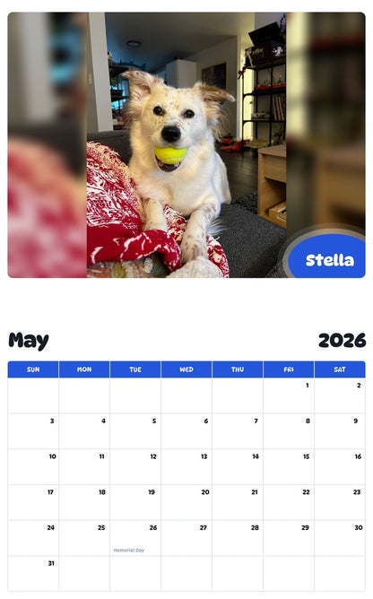 2026 - 2027 Stella - Pawidols Pet Calendar