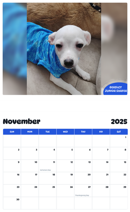 July 2025 - June 2026 Beasley Junior  Shafer - Pawidols Pet Calendar