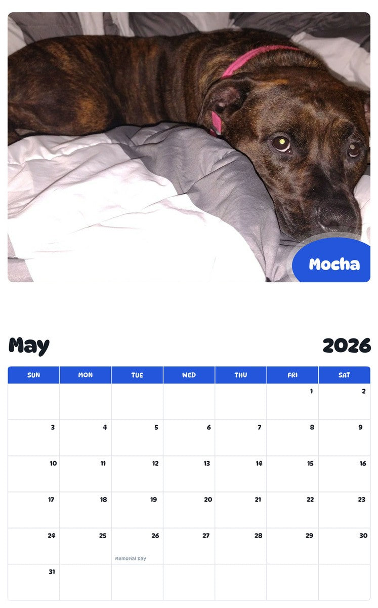 2026 - 2027 Mocha - Pawidols Pet Calendar