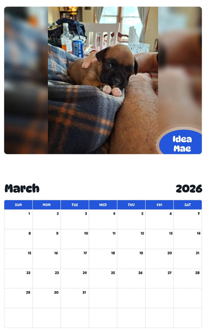 November 2025 - October 2026 Idea Mae - Pawidols Pet Calendar