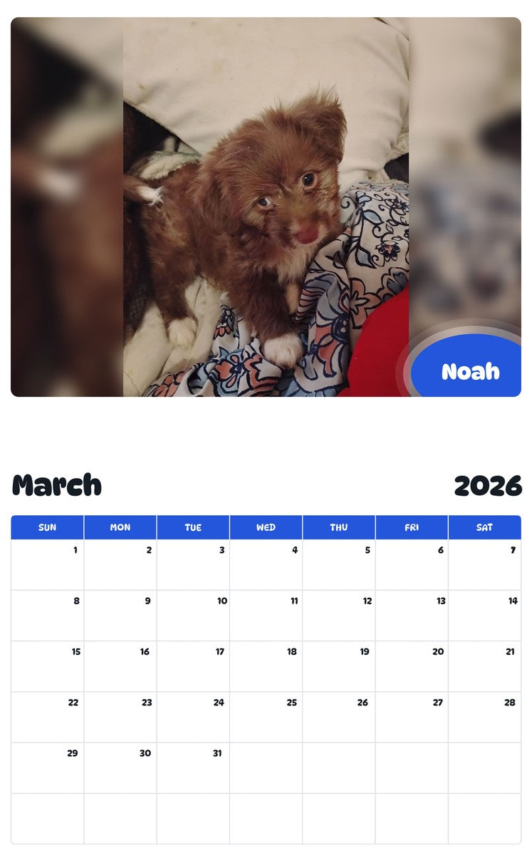 November 2025 - October 2026 Noah - Pawidols Pet Calendar