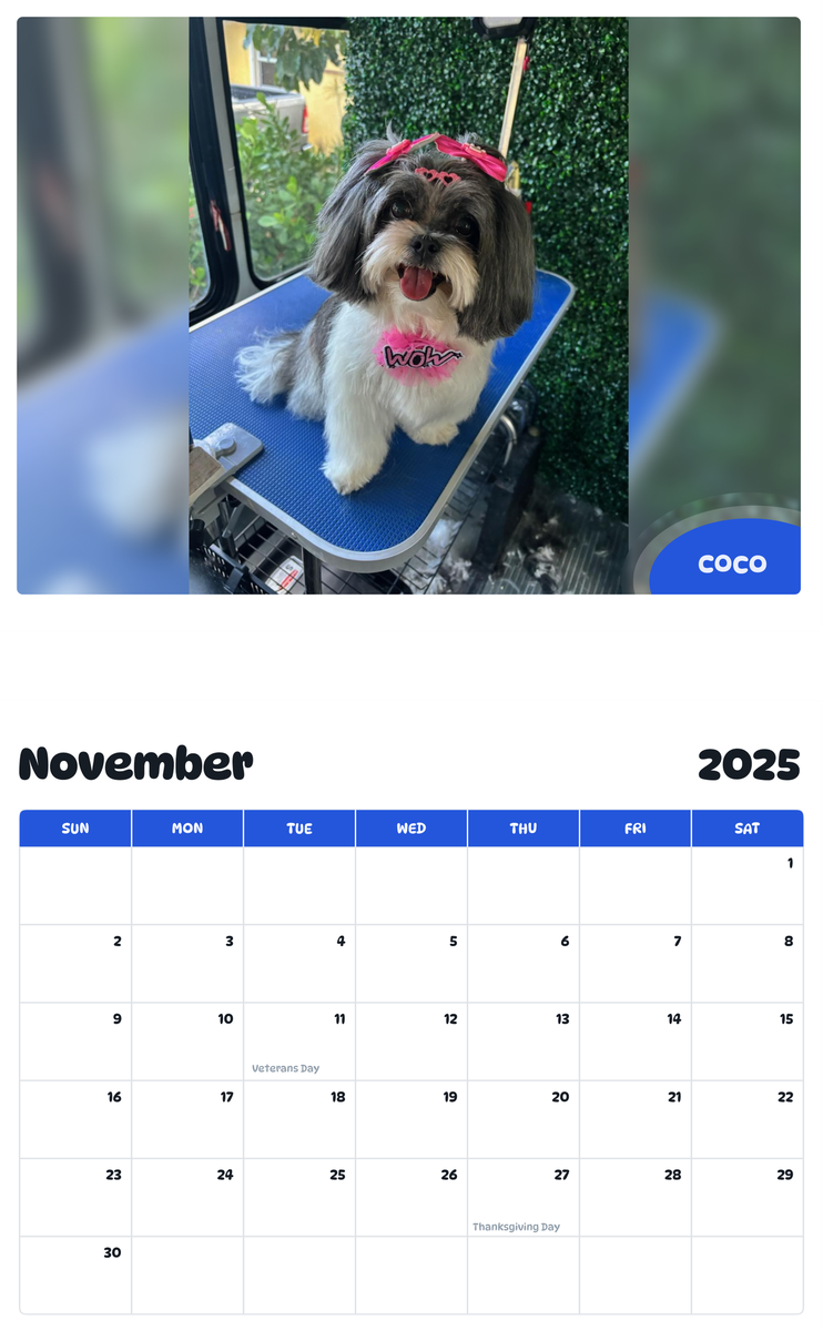 July 2025 - June 2026 Coco - Pawidols Pet Calendar