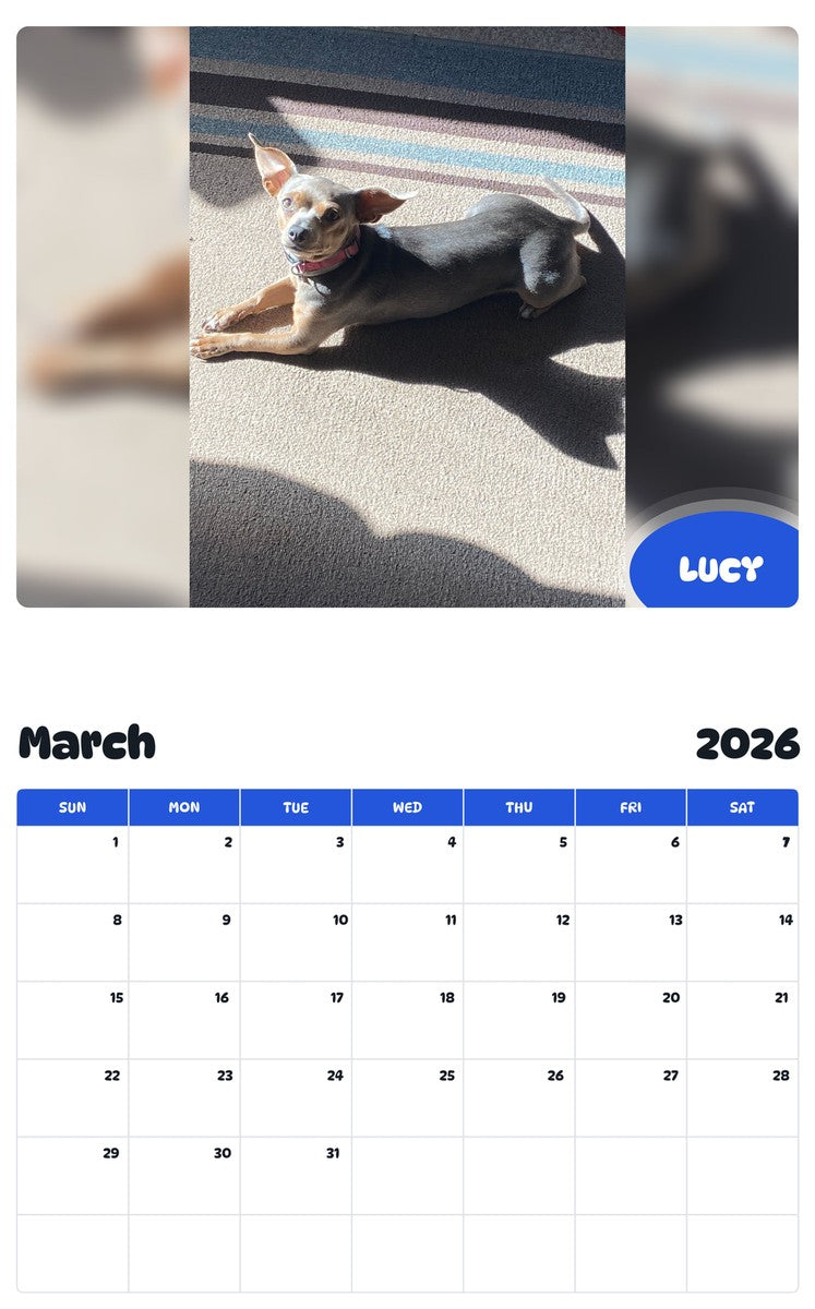 November 2025 - October 2026 LUCY - Pawidols Pet Calendar
