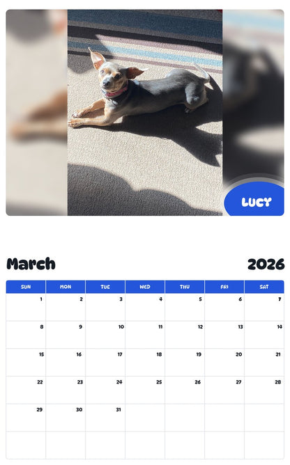 November 2025 - October 2026 LUCY - Pawidols Pet Calendar