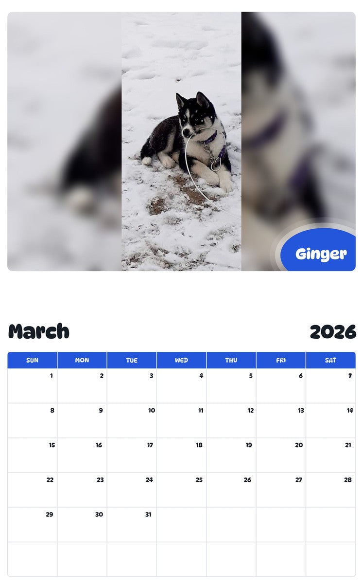 November 2025 - October 2026 Ginger - Pawidols Pet Calendar