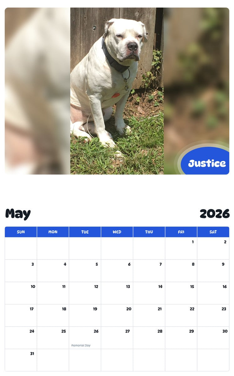 2026 - 2027 Justice - Pawidols Pet Calendar