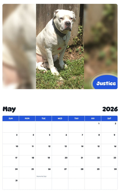 2026 - 2027 Justice - Pawidols Pet Calendar