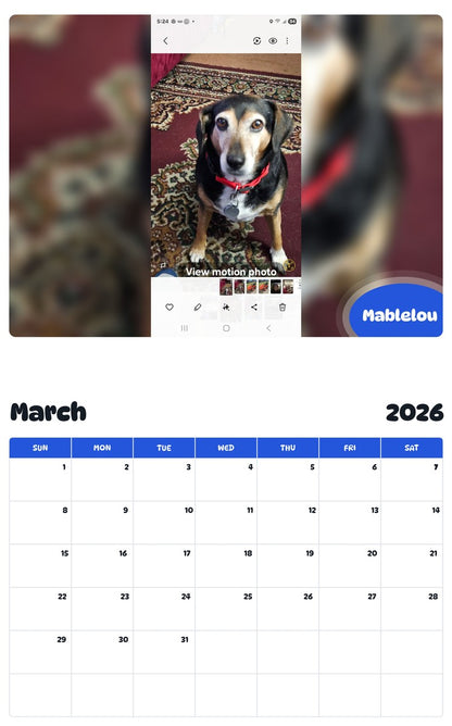 November 2025 - October 2026 Mablelou - Pawidols Pet Calendar