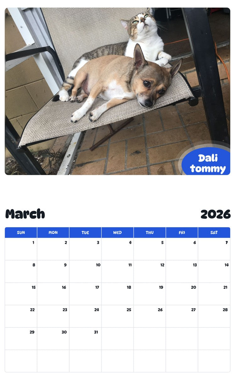November 2025 - October 2026 Dali tommy - Pawidols Pet Calendar