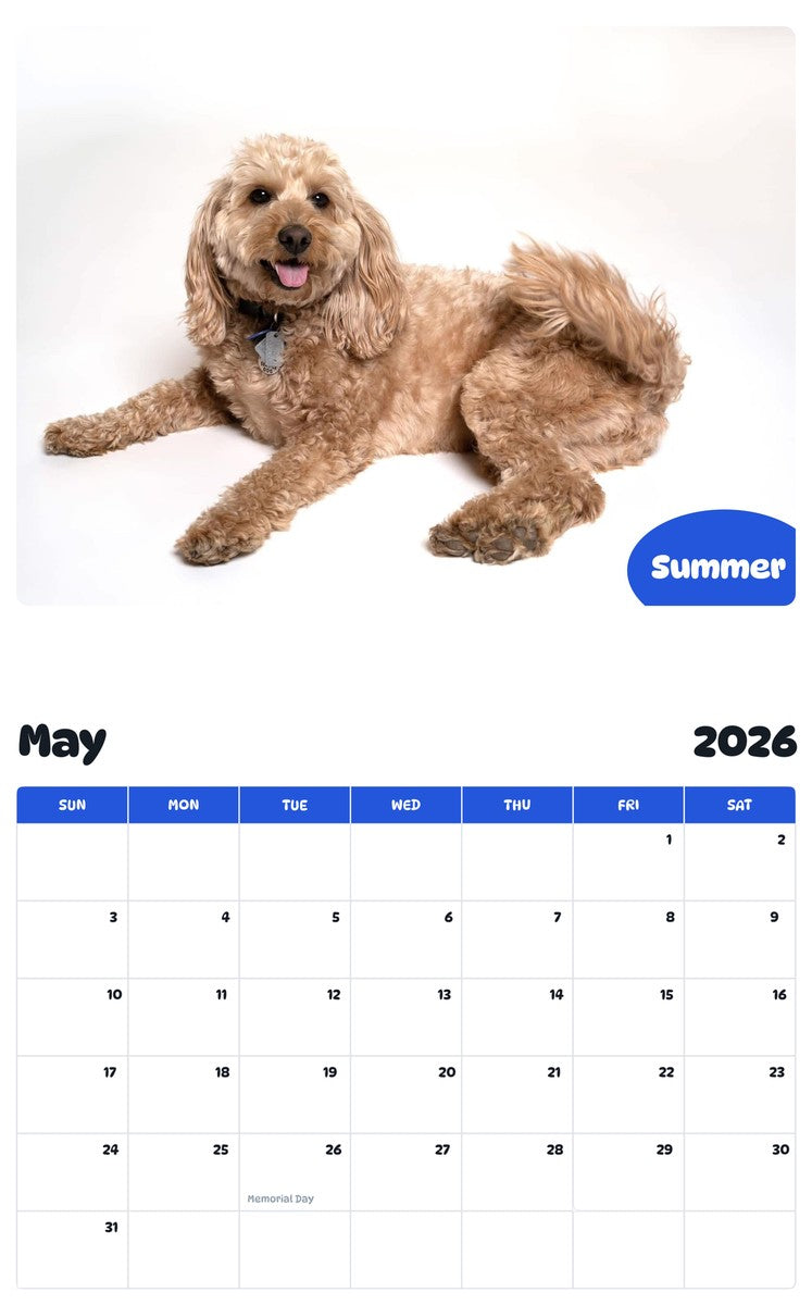 2026 - 2027 Summer - Pawidols Pet Calendar