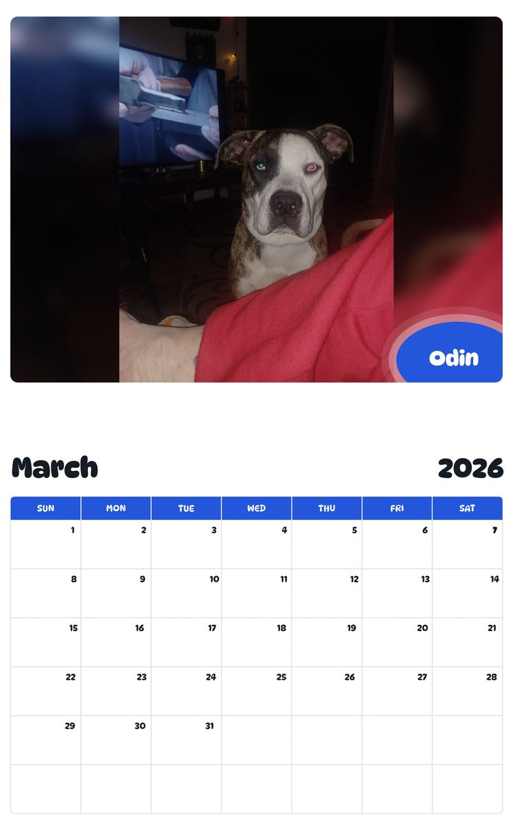 November 2025 - October 2026 Odin - Pawidols Pet Calendar