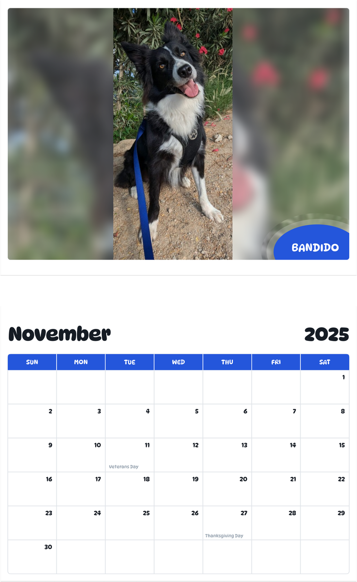 July 2025 - June 2026 Bandido - Pawidols Pet Calendar
