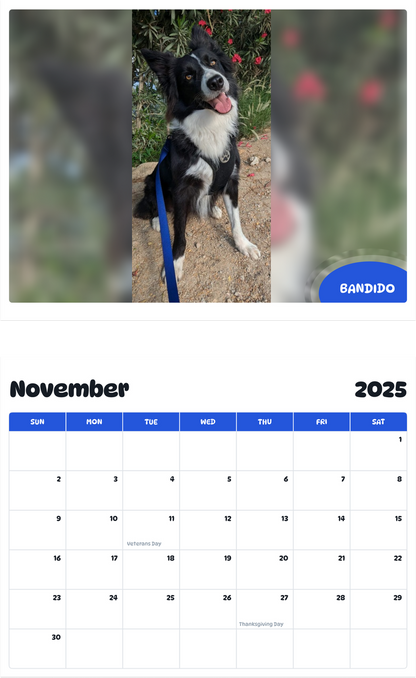 July 2025 - June 2026 Bandido - Pawidols Pet Calendar