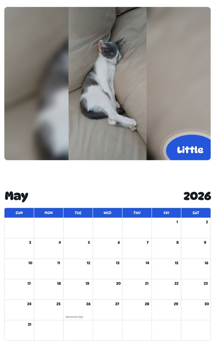 2026 - 2027 Little - Pawidols Pet Calendar