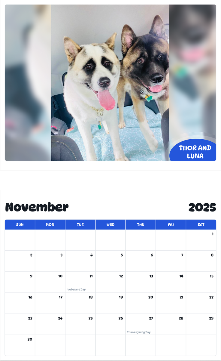 July 2025 - June 2026 Thor and Luna - Pawidols Pet Calendar