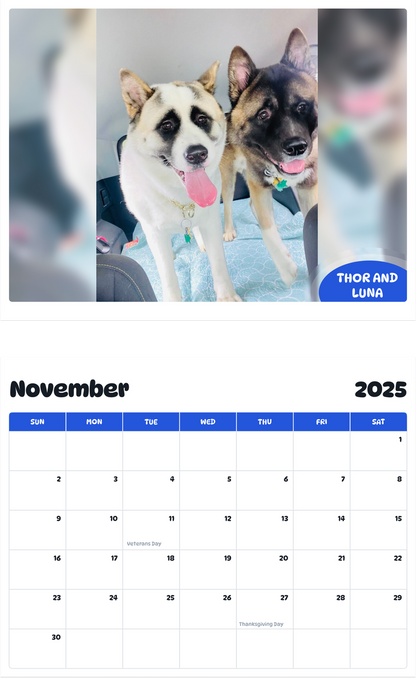 July 2025 - June 2026 Thor and Luna - Pawidols Pet Calendar