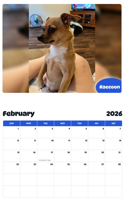 October 2025 - September 2026 Raccoon - Pawidols Pet Calendar