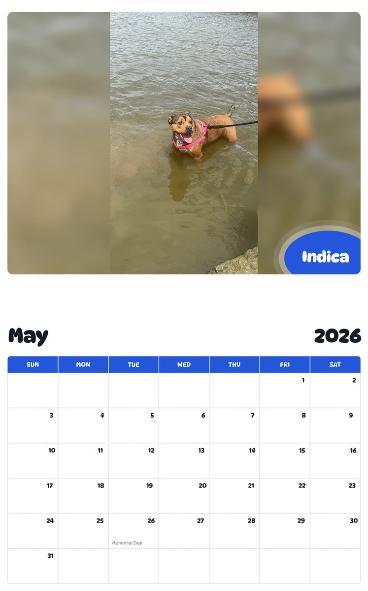 2026 - 2027 Indica - Pawidols Pet Calendar