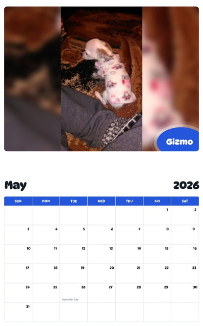 2026 - 2027 Gizmo - Pawidols Pet Calendar