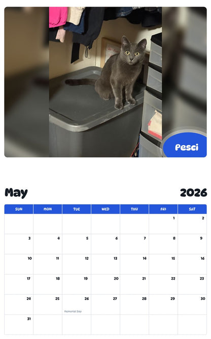 2026 - 2027 Pesci - Pawidols Pet Calendar