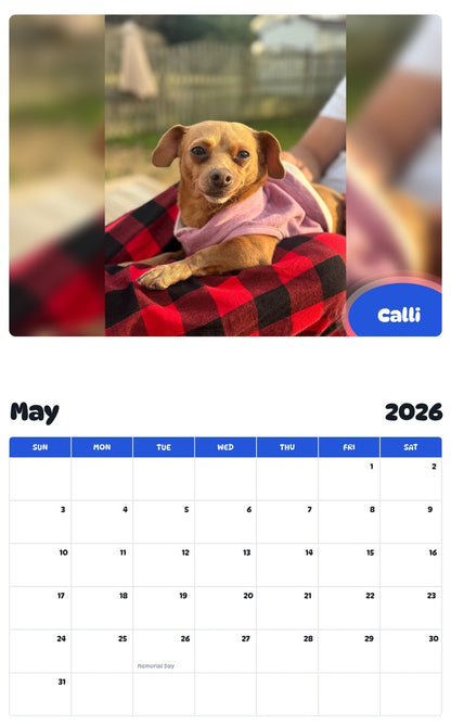 2026 - 2027 Calli - Pawidols Pet Calendar