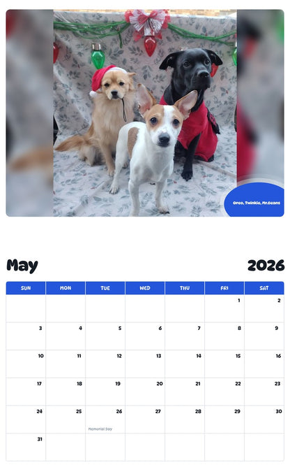 2026 - 2027 Oreo, Twinkie, Mr.Beans - Pawidols Pet Calendar
